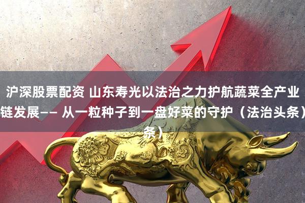 沪深股票配资 山东寿光以法治之力护航蔬菜全产业链发展—— 从一粒种子到一盘好菜的守护（法治头条）