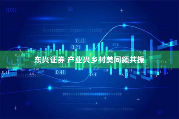 东兴证券 产业兴乡村美同频共振