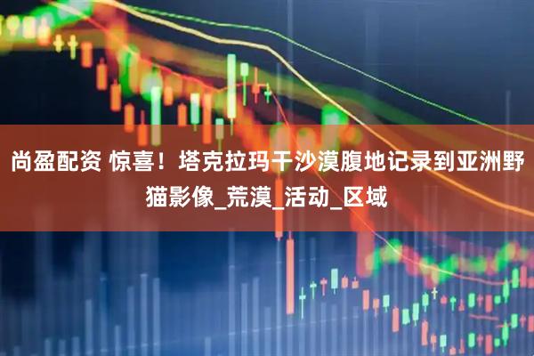 尚盈配资 惊喜！塔克拉玛干沙漠腹地记录到亚洲野猫影像_荒漠_活动_区域