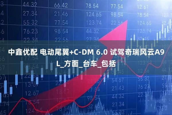 中鑫优配 电动尾翼+C-DM 6.0 试驾奇瑞风云A9L_方面_台车_包括