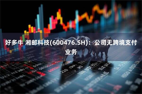 好多牛 湘邮科技(600476.SH)：公司无跨境支付业务