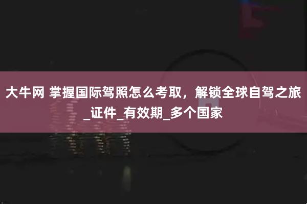 大牛网 掌握国际驾照怎么考取，解锁全球自驾之旅_证件_有效期_多个国家