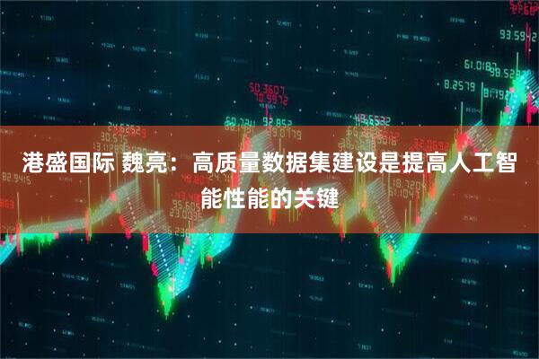 港盛国际 魏亮：高质量数据集建设是提高人工智能性能的关键