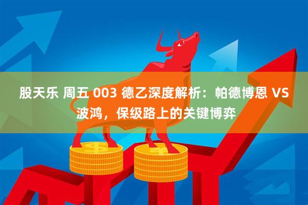 股天乐 周五 003 德乙深度解析：帕德博恩 VS 波鸿，保级路上的关键博弈