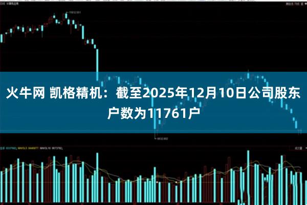 火牛网 凯格精机：截至2025年12月10日公司股东户数为11761户